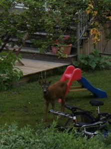 ???????????????????????????????