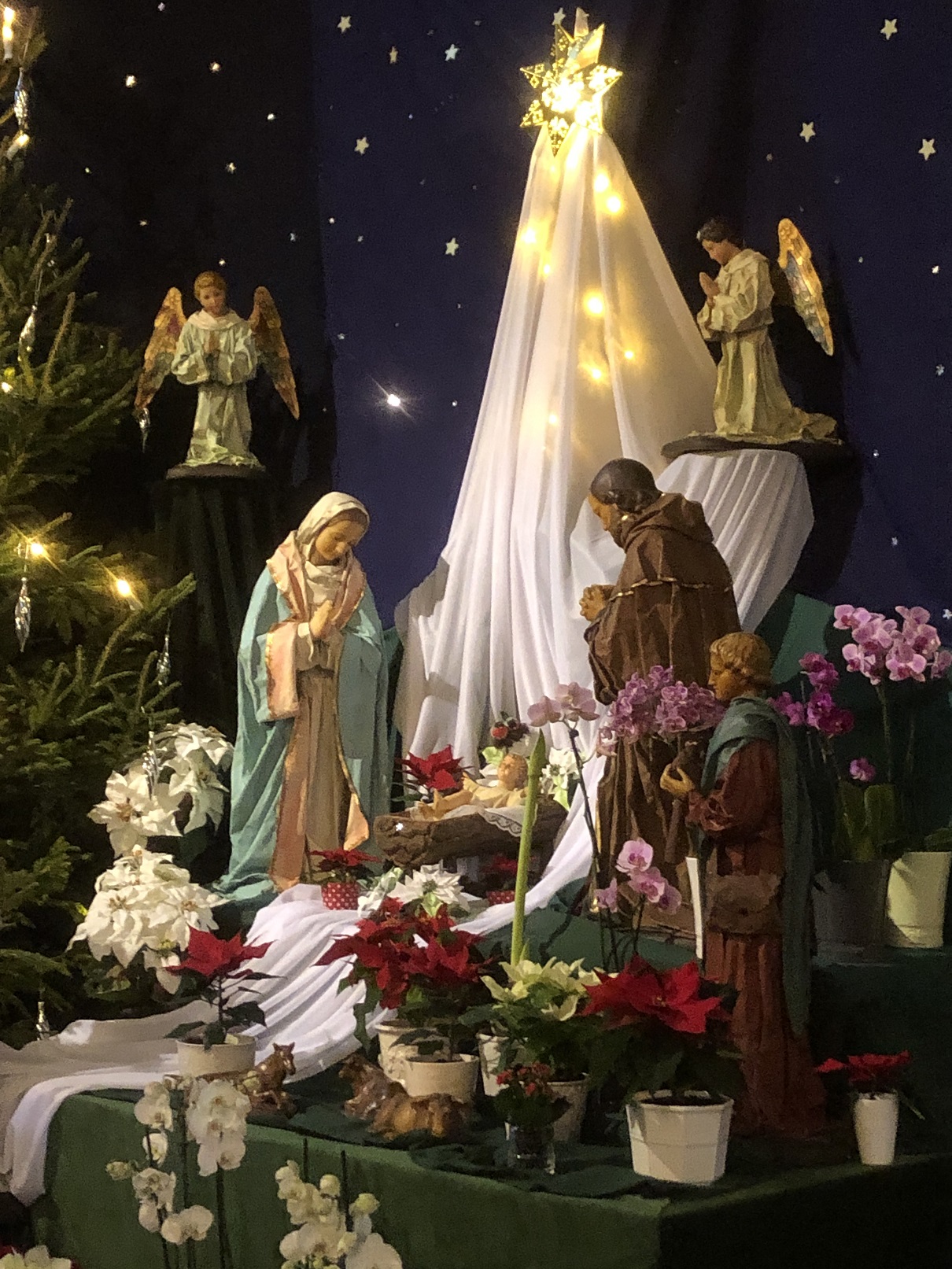domkjulkrubba2019