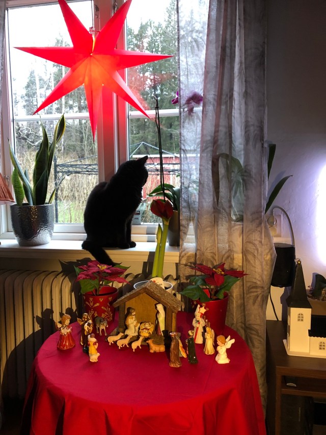 jul2019stjärnakattkrubba